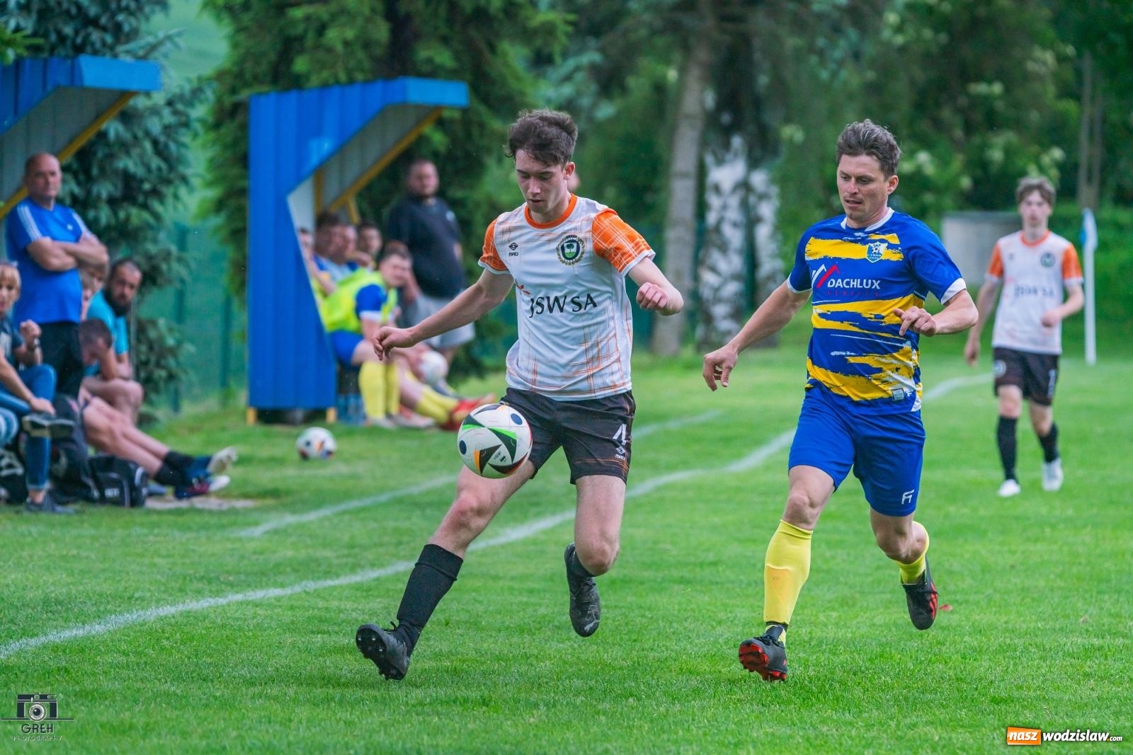 Zdjęcie w galerii na portalu naszwodzislaw.com: Gamów – Buków: Wilczek rozszarpał Wypoczynek [FOTO i WIDEO] wiadomości z regionu