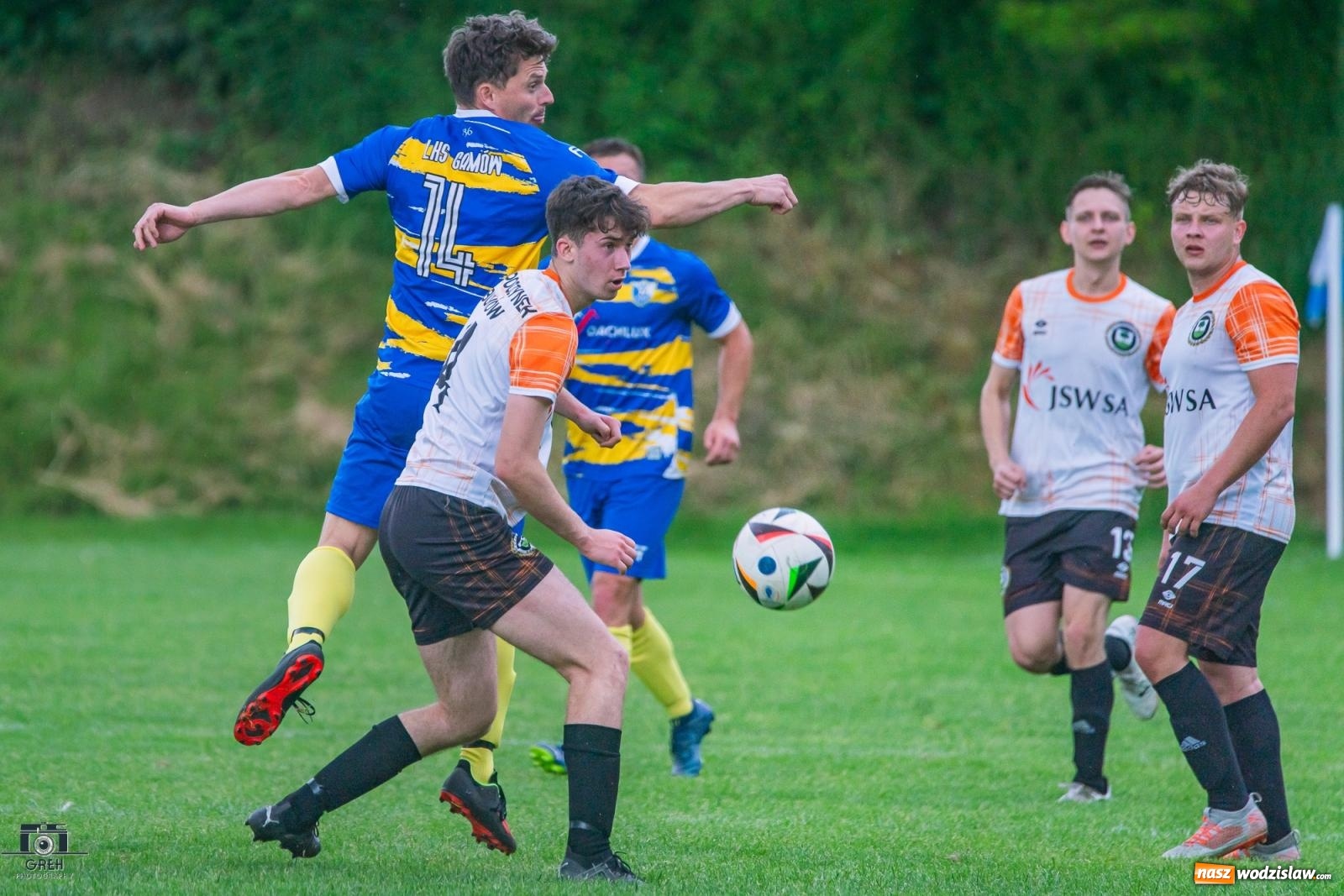 Zdjęcie w galerii na portalu naszwodzislaw.com: Gamów – Buków: Wilczek rozszarpał Wypoczynek [FOTO i WIDEO] wiadomości z regionu