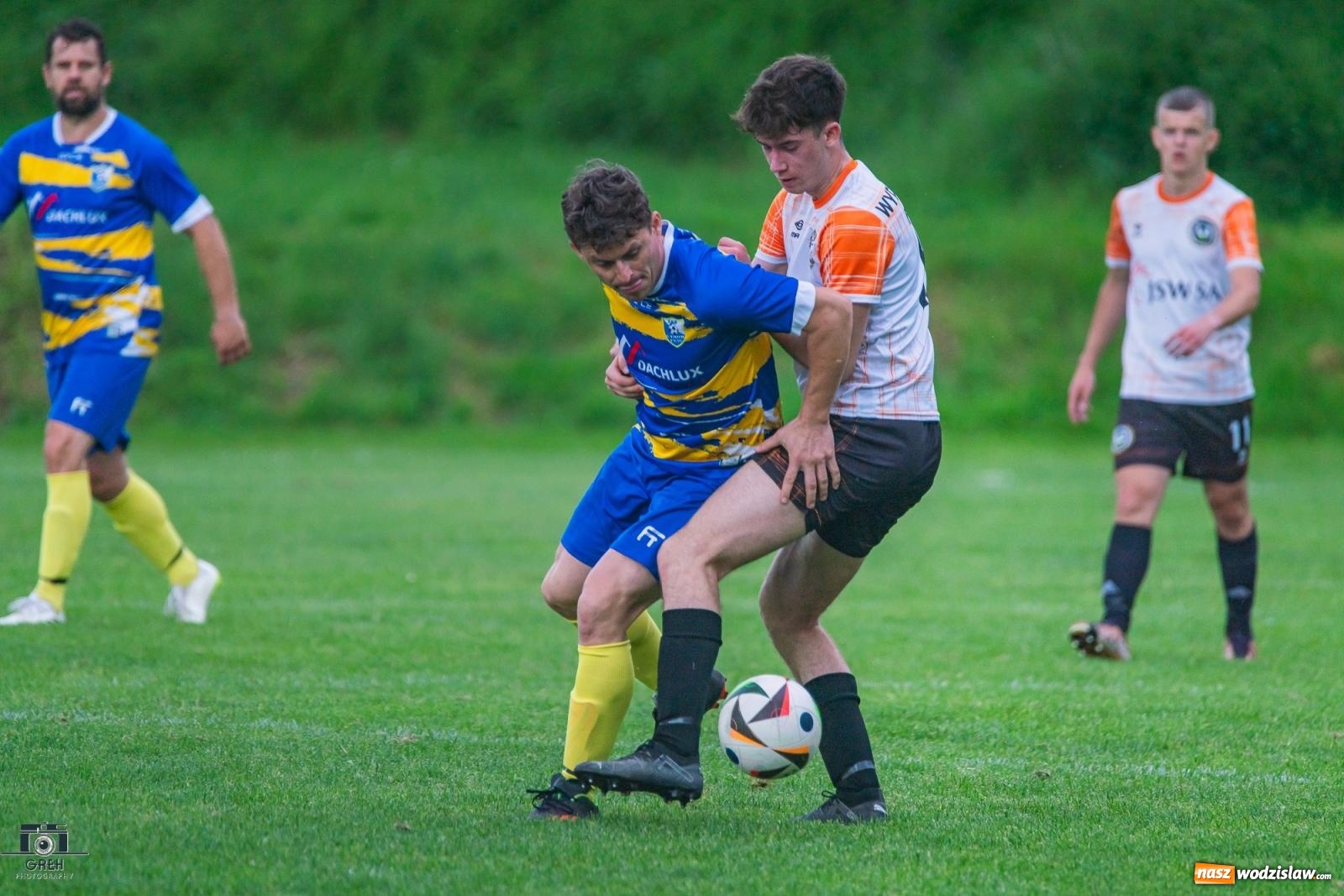 Zdjęcie w galerii na portalu naszwodzislaw.com: Gamów – Buków: Wilczek rozszarpał Wypoczynek [FOTO i WIDEO] wiadomości z regionu