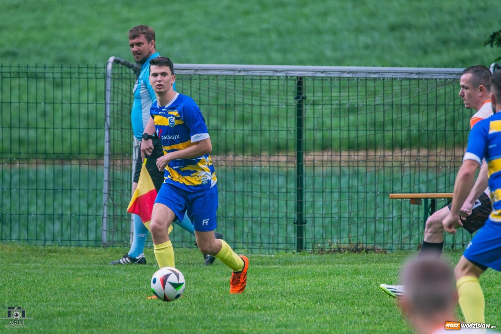 Zdjęcie w galerii na portalu naszwodzislaw.com: Gamów – Buków: Wilczek rozszarpał Wypoczynek [FOTO i WIDEO] wiadomości z regionu