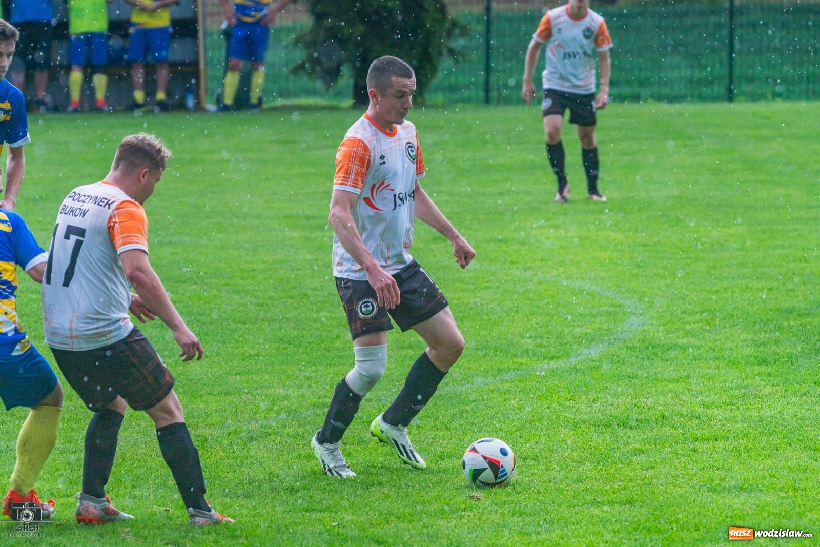 Zdjęcie w galerii na portalu naszwodzislaw.com: Gamów – Buków: Wilczek rozszarpał Wypoczynek [FOTO i WIDEO] wiadomości z regionu