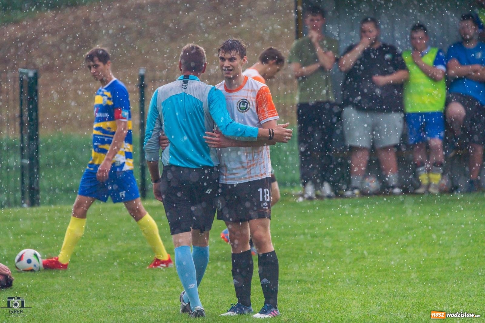 Zdjęcie w galerii na portalu naszwodzislaw.com: Gamów – Buków: Wilczek rozszarpał Wypoczynek [FOTO i WIDEO] wiadomości z regionu