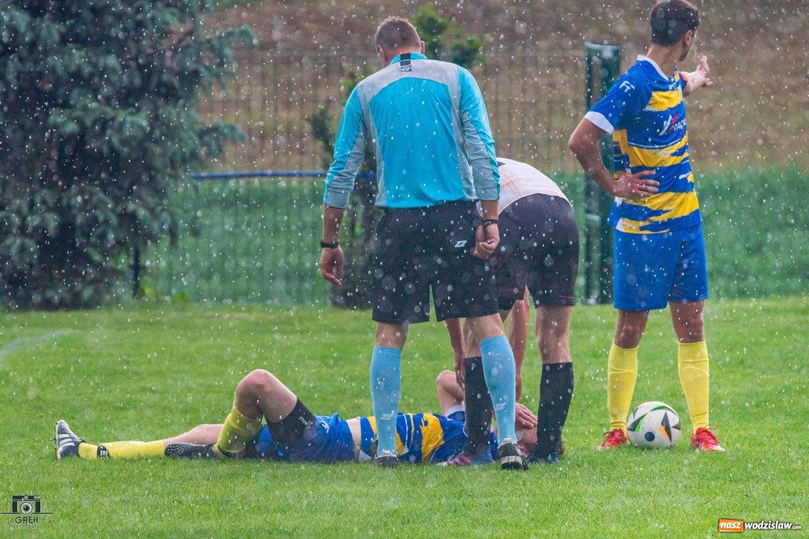 Zdjęcie w galerii na portalu naszwodzislaw.com: Gamów – Buków: Wilczek rozszarpał Wypoczynek [FOTO i WIDEO] wiadomości z regionu