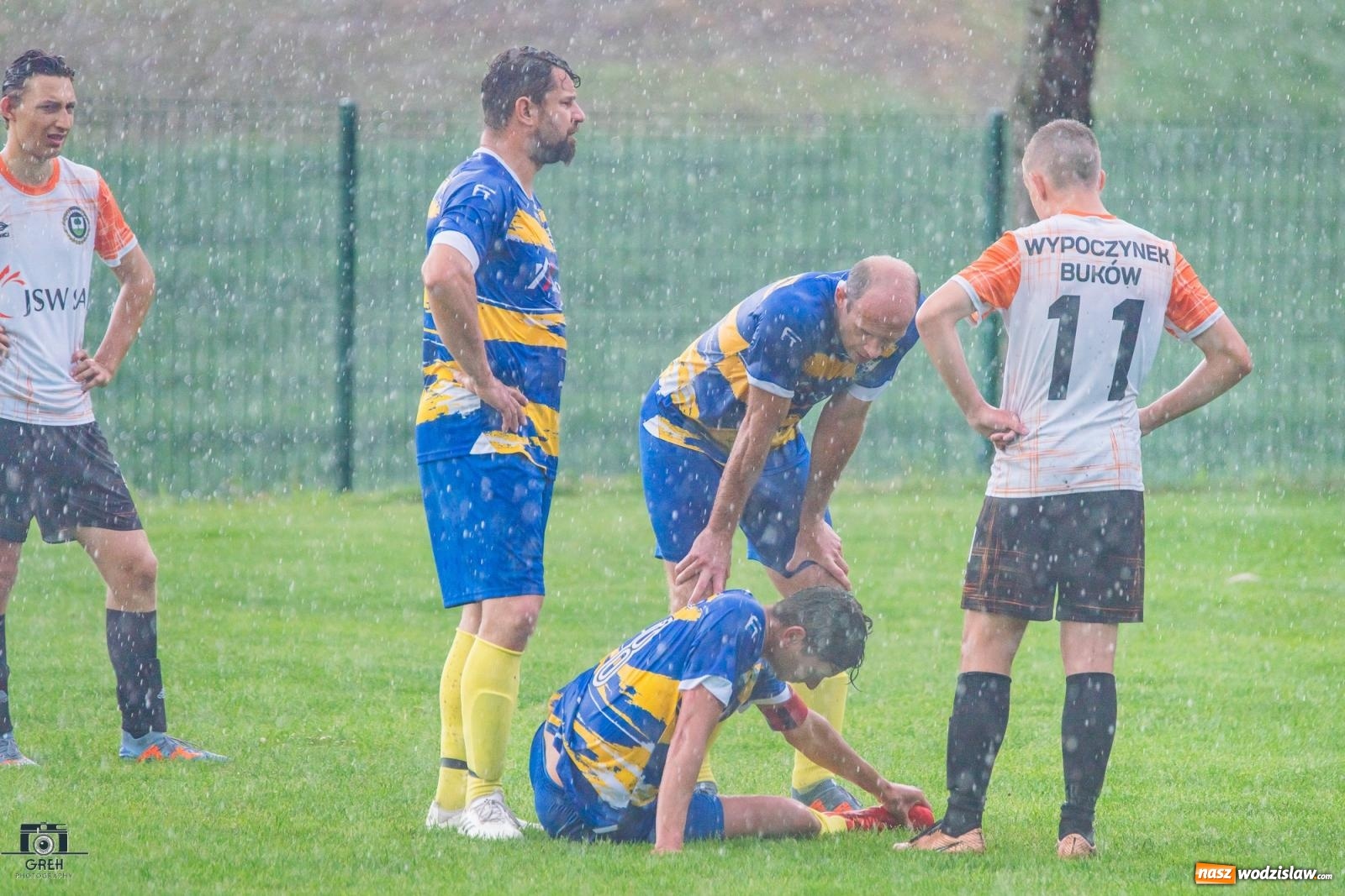 Zdjęcie w galerii na portalu naszwodzislaw.com: Gamów – Buków: Wilczek rozszarpał Wypoczynek [FOTO i WIDEO] wiadomości z regionu