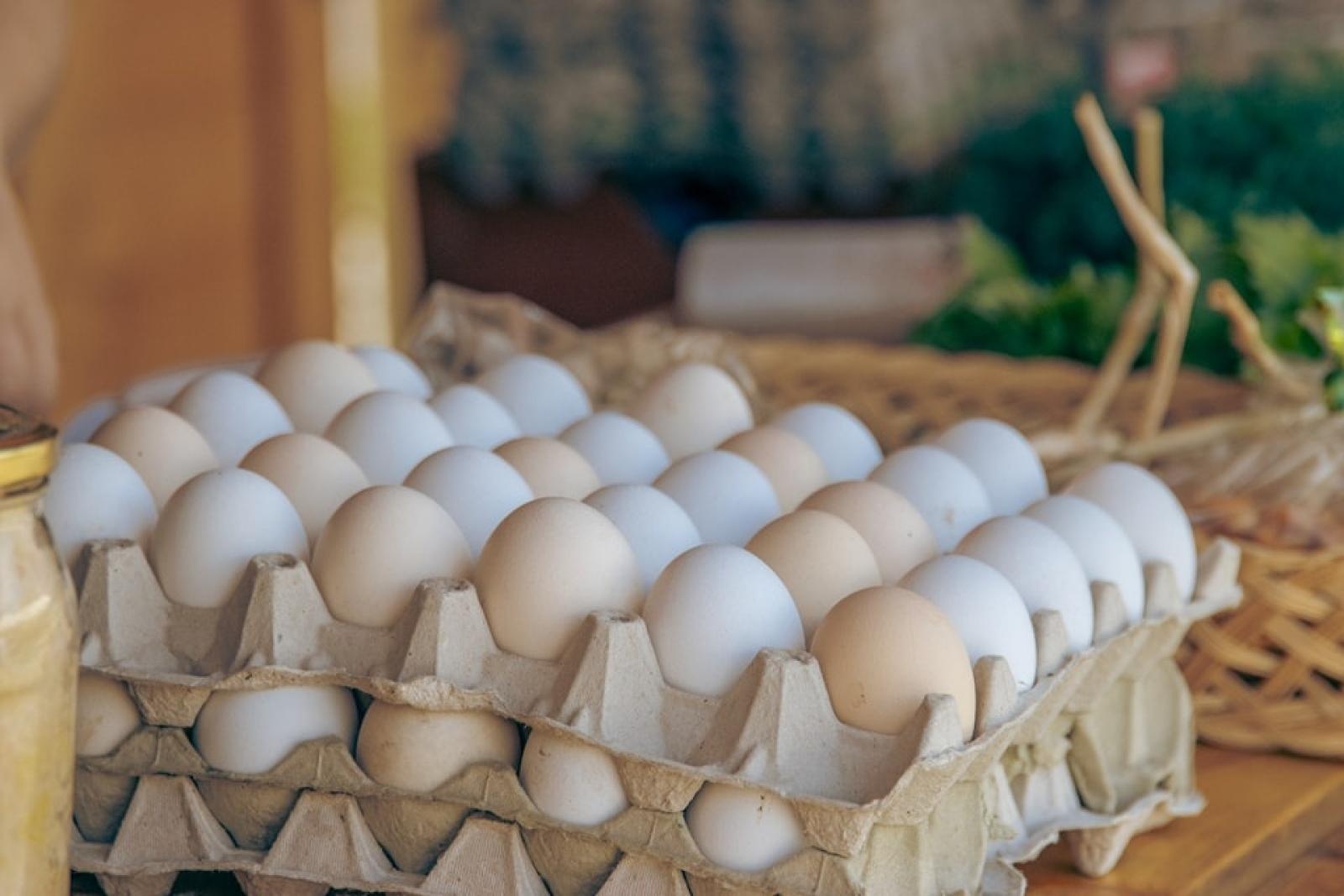 Zdjęcie w galerii na portalu naszwodzislaw.com: EkoPoranek pełen atrakcji za nami [FOTO] wiadomości z regionu