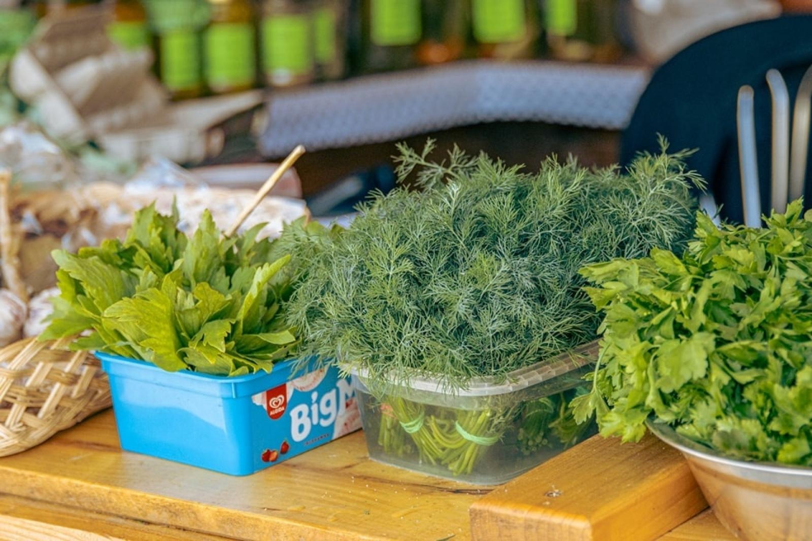 Zdjęcie w galerii na portalu naszwodzislaw.com: EkoPoranek pełen atrakcji za nami [FOTO] wiadomości z regionu