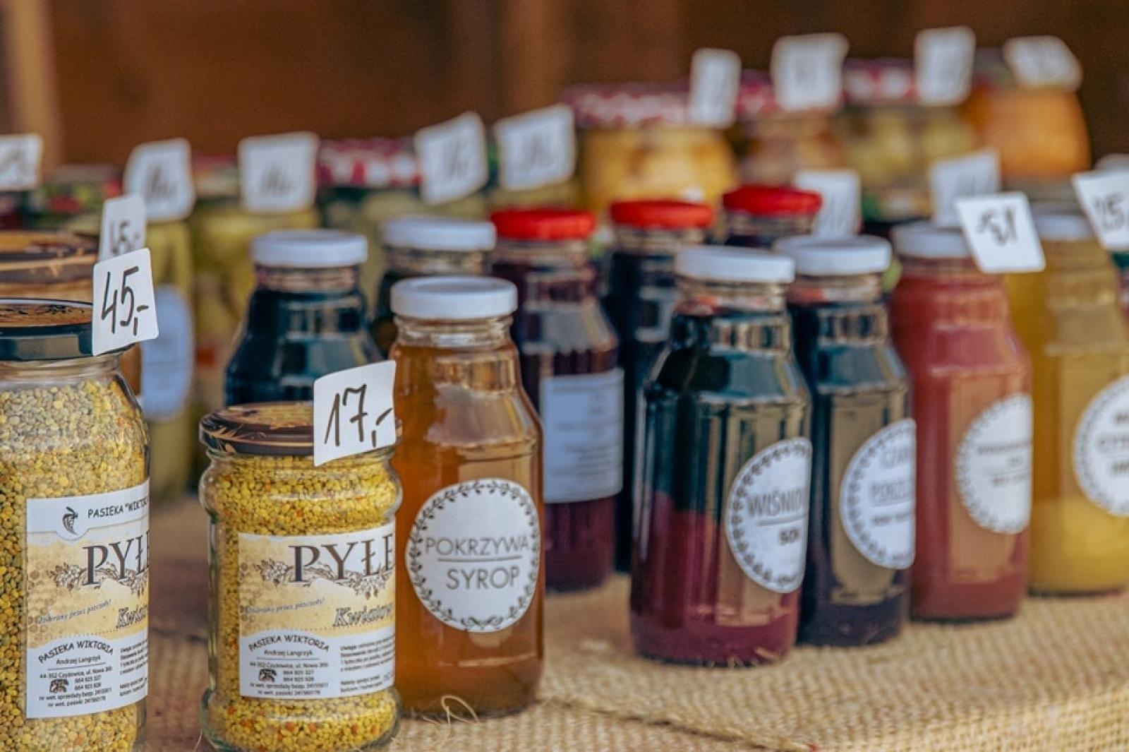 Zdjęcie w galerii na portalu naszwodzislaw.com: EkoPoranek pełen atrakcji za nami [FOTO] wiadomości z regionu