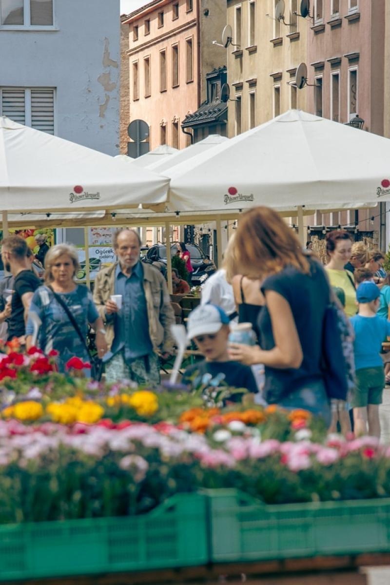Zdjęcie w galerii na portalu naszwodzislaw.com: EkoPoranek pełen atrakcji za nami [FOTO] wiadomości z regionu