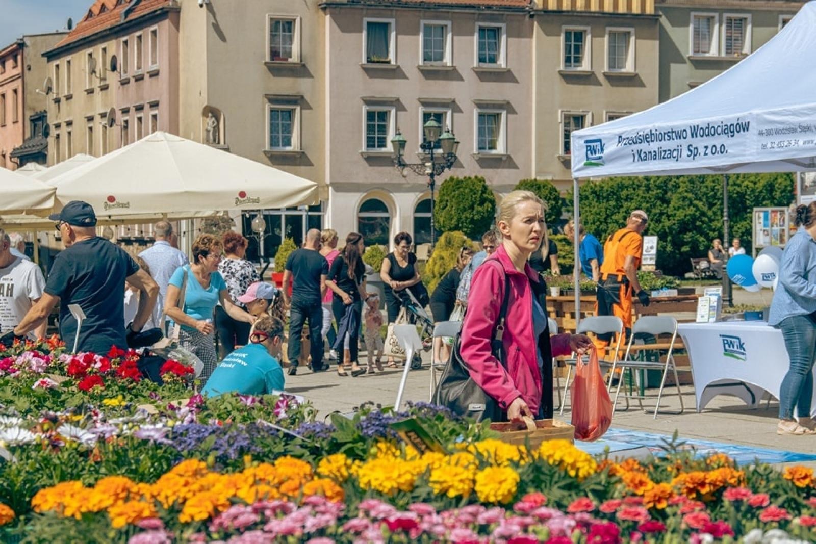 Zdjęcie w galerii na portalu naszwodzislaw.com: EkoPoranek pełen atrakcji za nami [FOTO] wiadomości z regionu