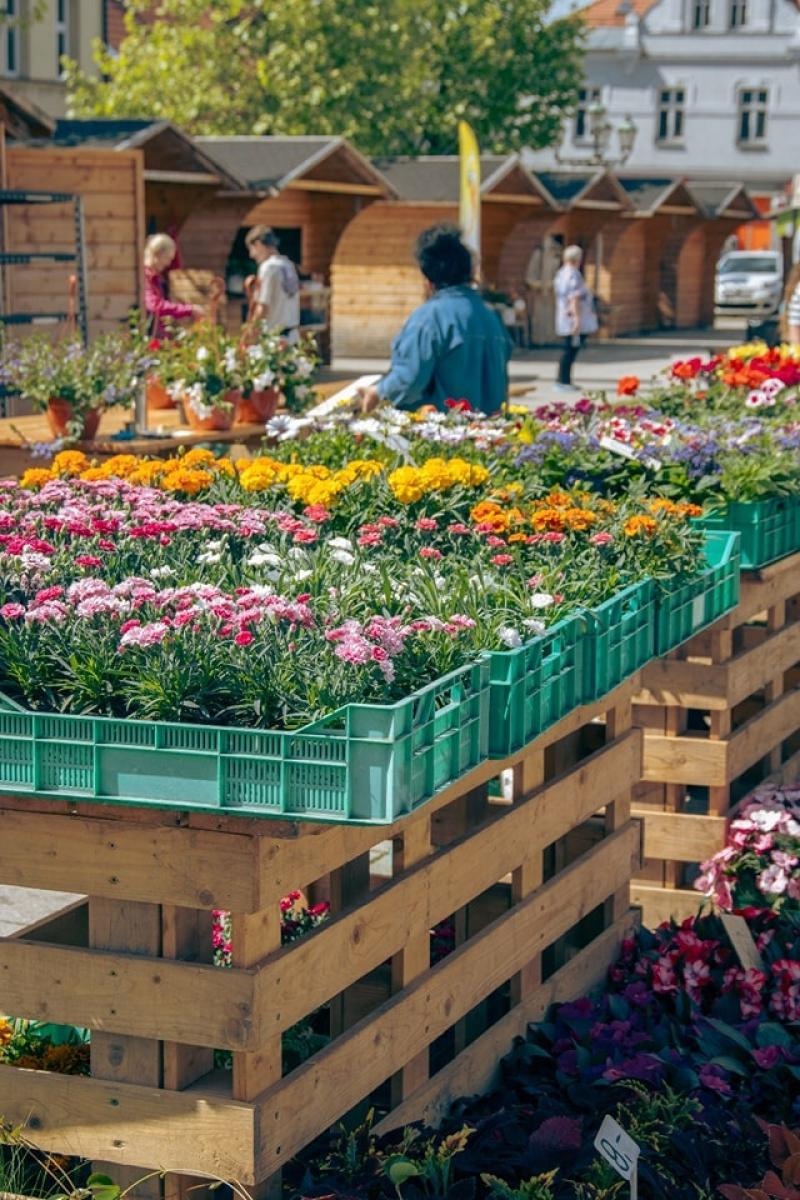 Zdjęcie w galerii na portalu naszwodzislaw.com: EkoPoranek pełen atrakcji za nami [FOTO] wiadomości z regionu