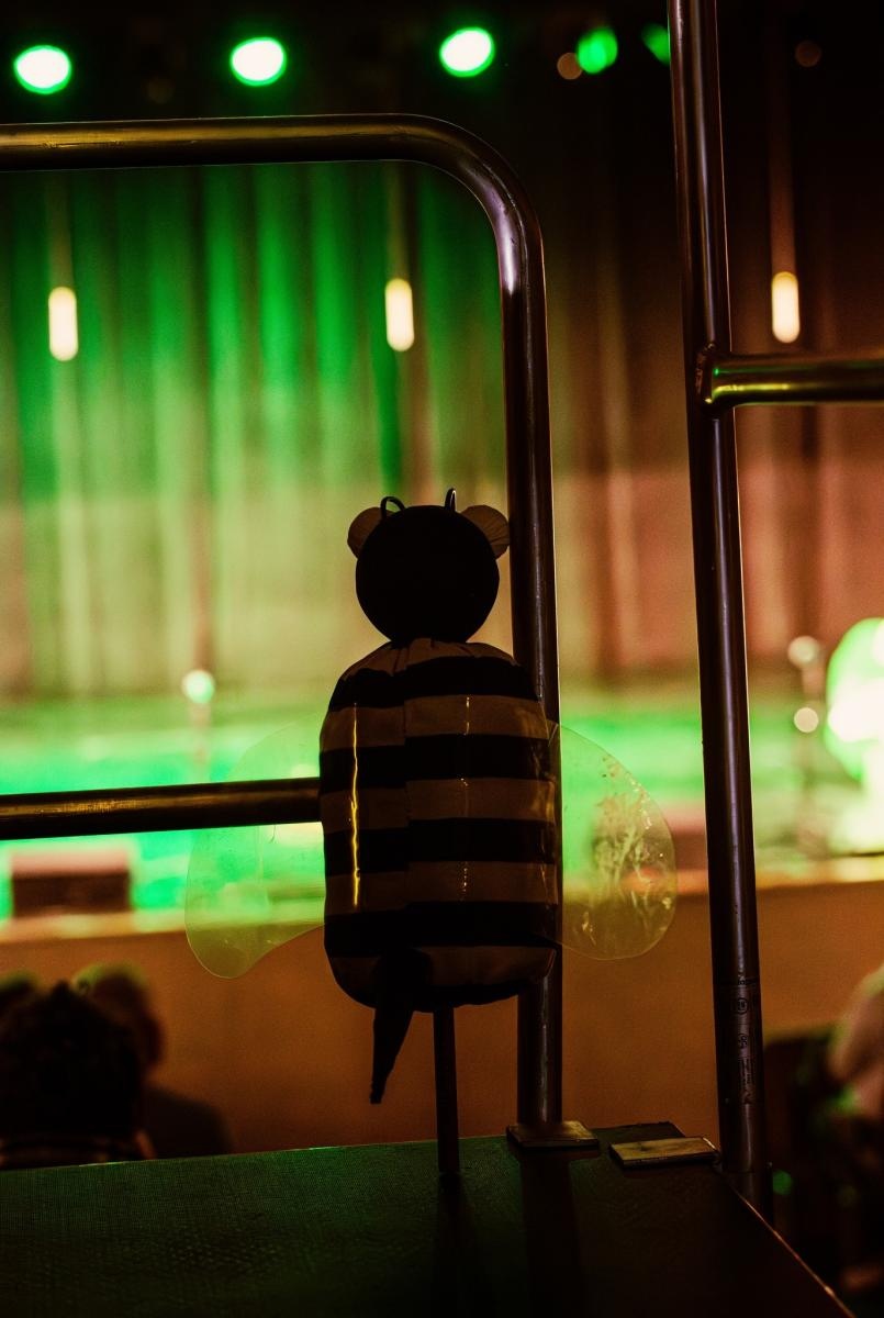 Zdjęcie w galerii na portalu naszwodzislaw.com: Za nami tegoroczna odsłona MASKI [FOTO] wiadomości z regionu