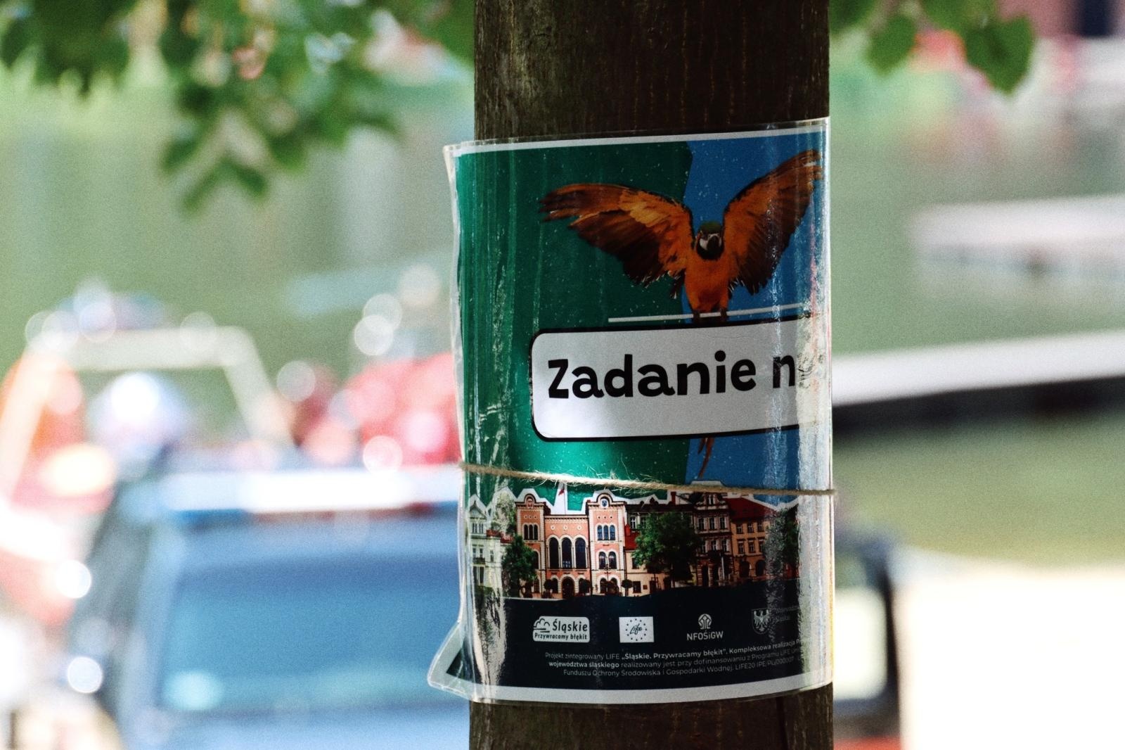 Zdjęcie w galerii na portalu naszwodzislaw.com: Kolejny wodzisławski EKO-RAJD uczniowski za nami wiadomości z regionu