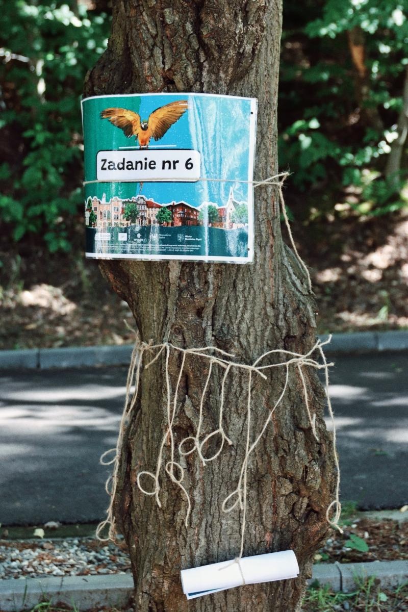 Zdjęcie w galerii na portalu naszwodzislaw.com: Kolejny wodzisławski EKO-RAJD uczniowski za nami wiadomości z regionu