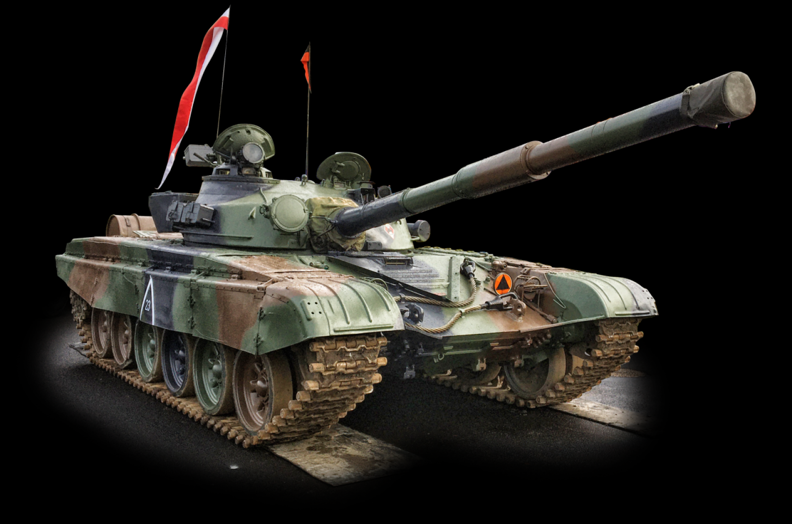 Zdjęcie w galerii na portalu naszwodzislaw.com: Dzień Ratownika i Strażnika Bezpieczeństwa: Gramy dla Maksa z Fundacją TVS wiadomości z regionu