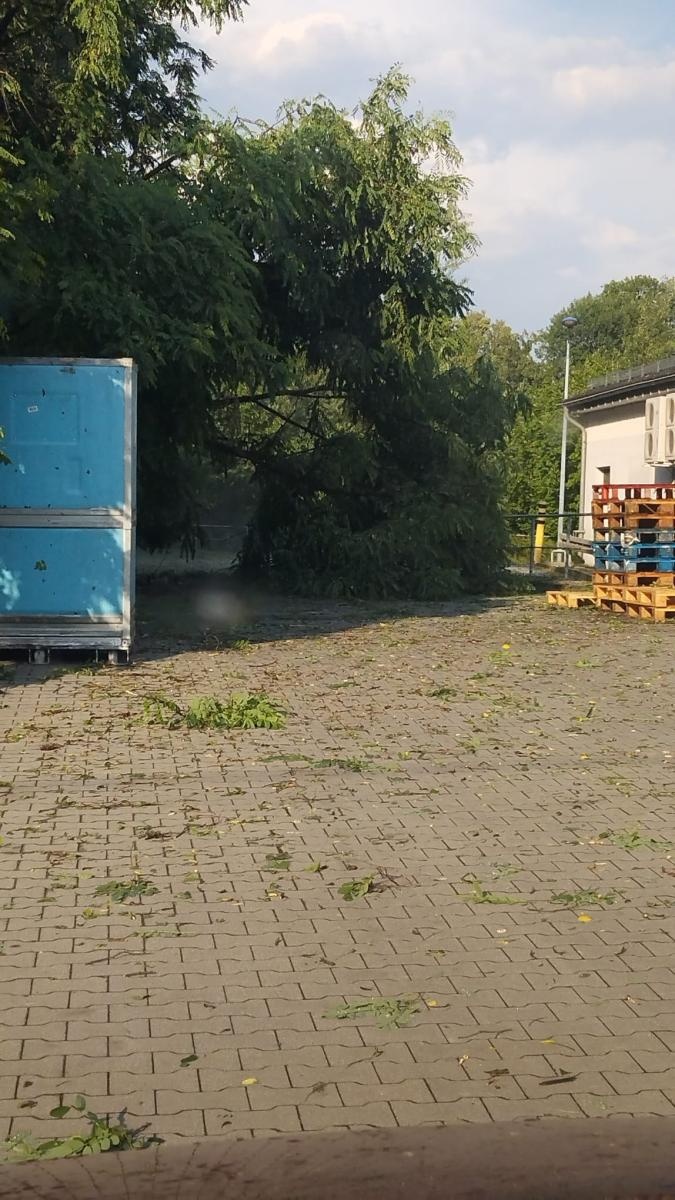 Zdjęcie w galerii na portalu naszwodzislaw.com: To był armagedon! Żywioł pokazał swą niszczycielską moc [FOTO i WIDEO] wiadomości z regionu