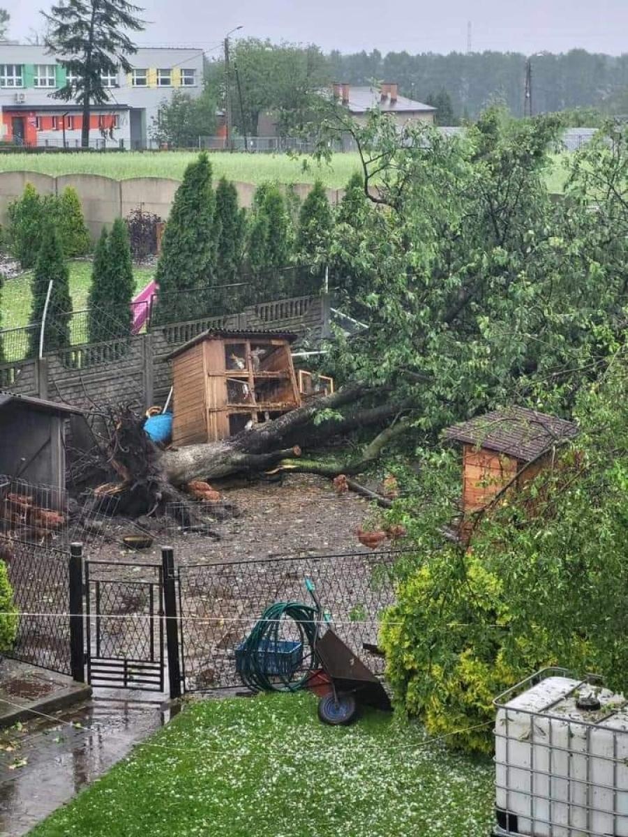 Zdjęcie w galerii na portalu naszwodzislaw.com: To był armagedon! Żywioł pokazał swą niszczycielską moc [FOTO i WIDEO] wiadomości z regionu