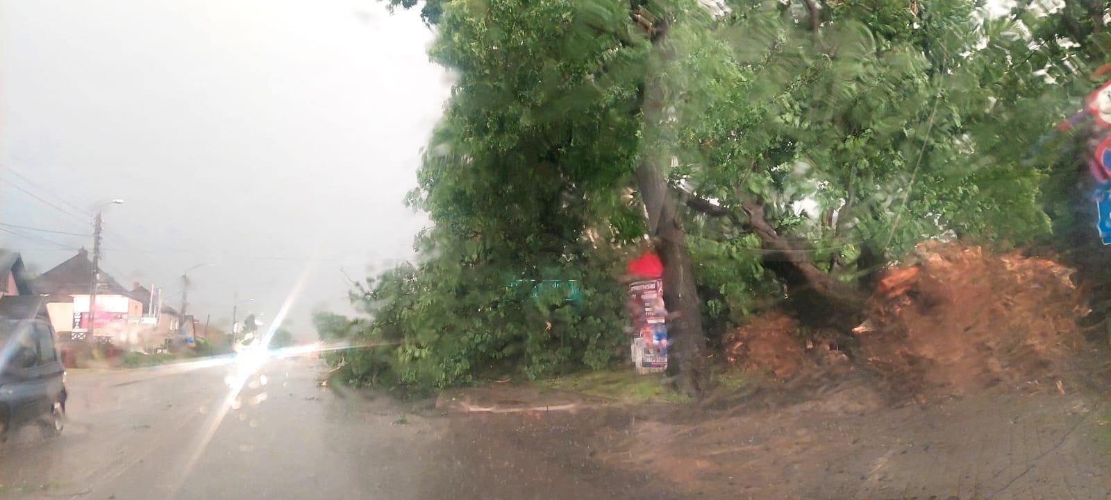 Zdjęcie w galerii na portalu naszwodzislaw.com: To był armagedon! Żywioł pokazał swą niszczycielską moc [FOTO i WIDEO] wiadomości z regionu
