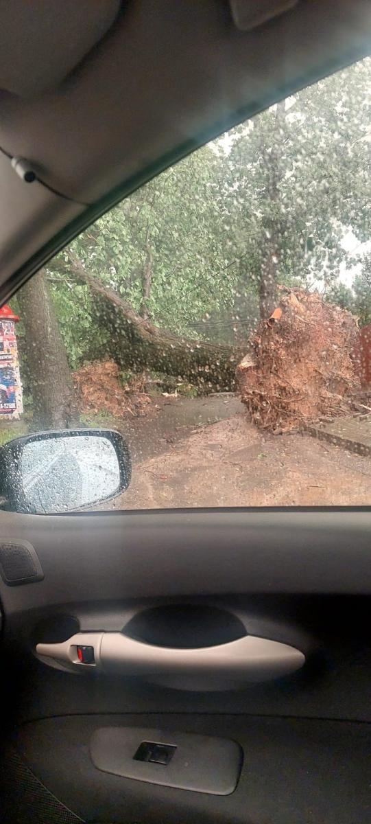 Zdjęcie w galerii na portalu naszwodzislaw.com: To był armagedon! Żywioł pokazał swą niszczycielską moc [FOTO i WIDEO] wiadomości z regionu