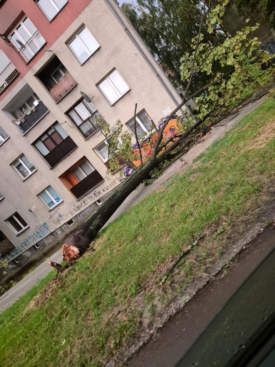 Zdjęcie w galerii na portalu naszwodzislaw.com: To był armagedon! Żywioł pokazał swą niszczycielską moc [FOTO i WIDEO] wiadomości z regionu