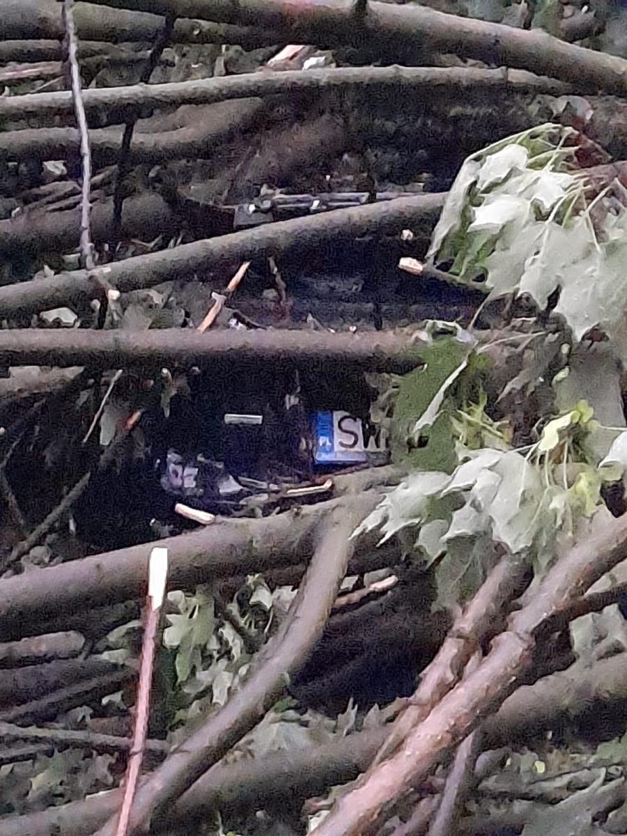 Zdjęcie w galerii na portalu naszwodzislaw.com: To był armagedon! Żywioł pokazał swą niszczycielską moc [FOTO i WIDEO] wiadomości z regionu