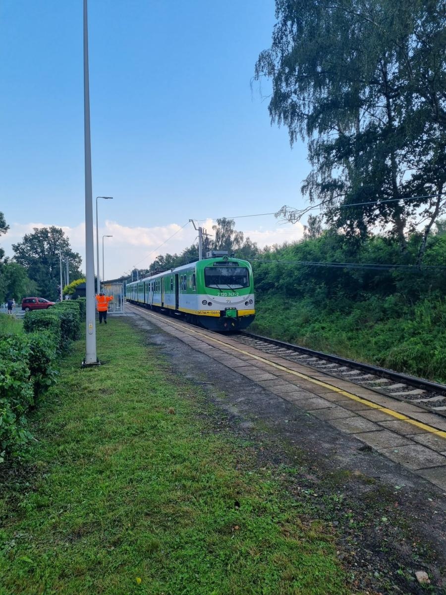 Zdjęcie w galerii na portalu naszwodzislaw.com: To był armagedon! Żywioł pokazał swą niszczycielską moc [FOTO i WIDEO] wiadomości z regionu