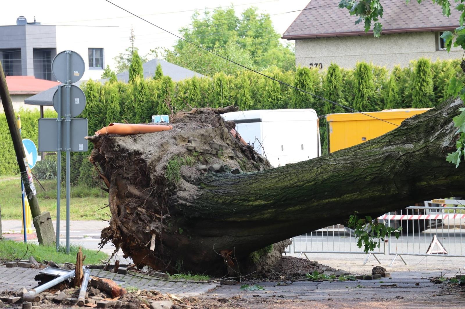 Zdjęcie w galerii na portalu naszwodzislaw.com: Miasto walczy ze skutkami nawałnicy [FOTO] wiadomości z regionu