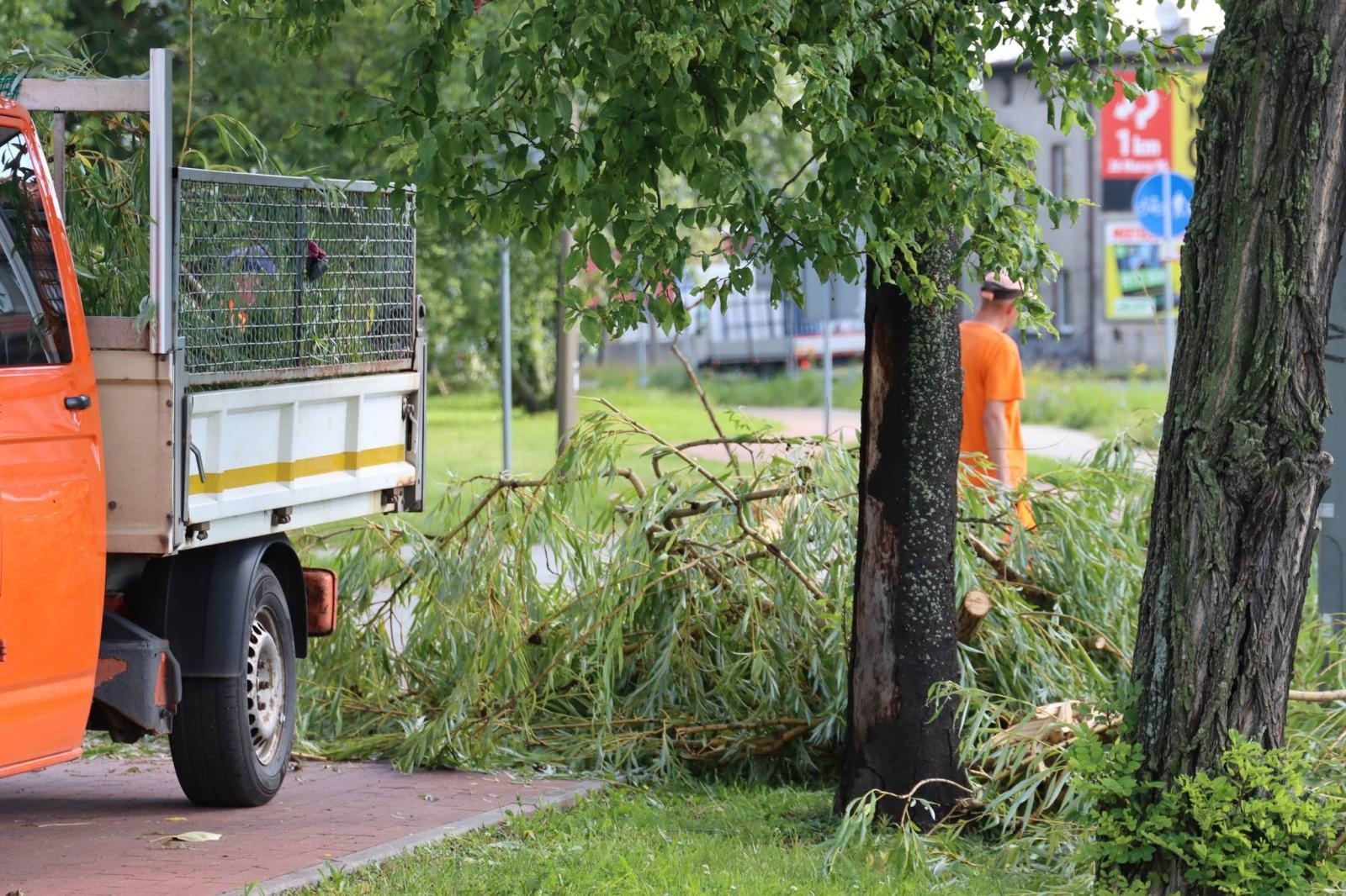 Zdjęcie w galerii na portalu naszwodzislaw.com: Miasto walczy ze skutkami nawałnicy [FOTO] wiadomości z regionu