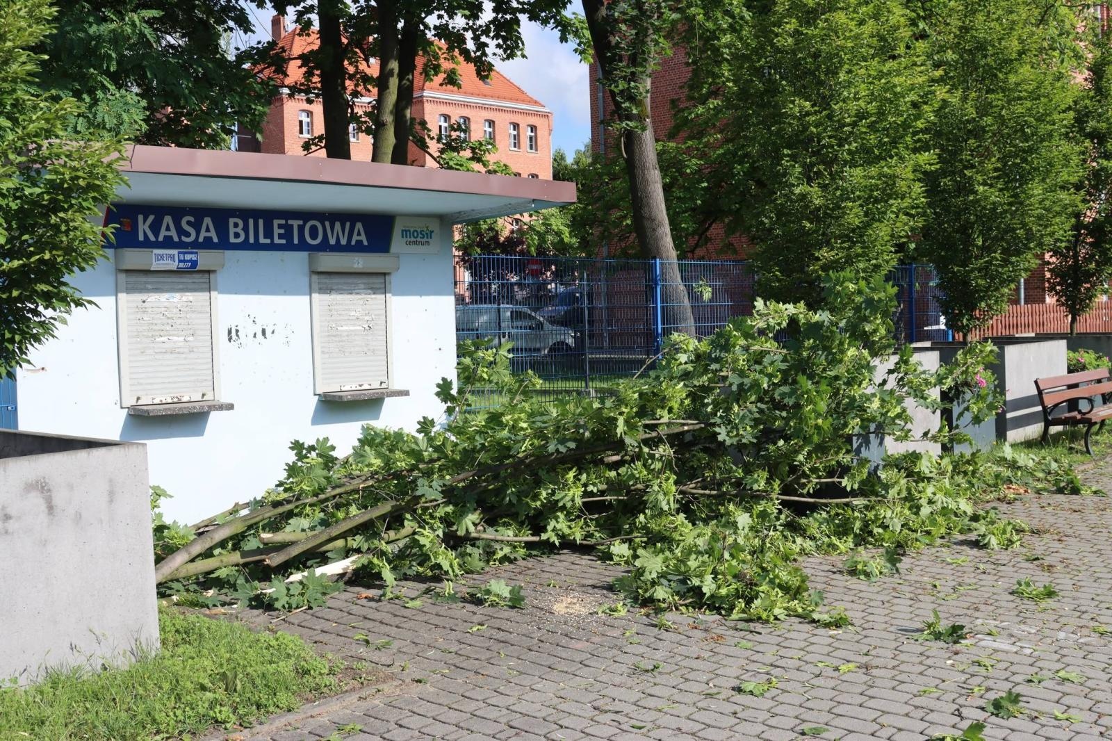 Zdjęcie w galerii na portalu naszwodzislaw.com: Miasto walczy ze skutkami nawałnicy [FOTO] wiadomości z regionu
