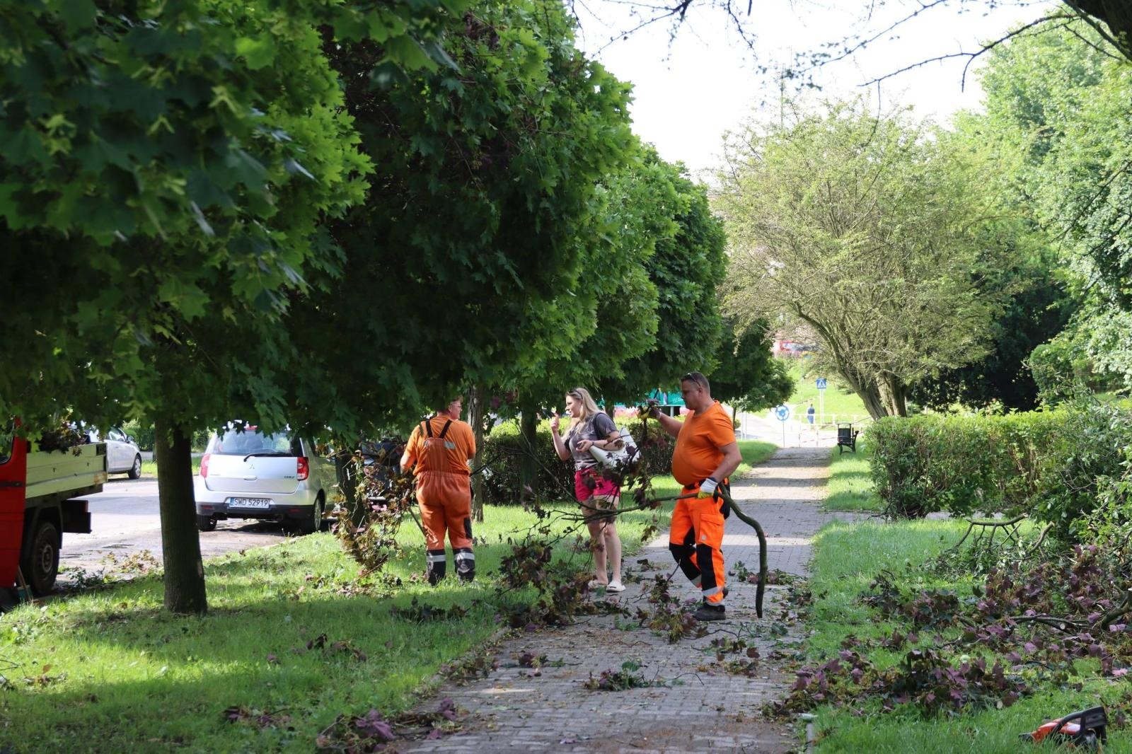 Zdjęcie w galerii na portalu naszwodzislaw.com: Miasto walczy ze skutkami nawałnicy [FOTO] wiadomości z regionu