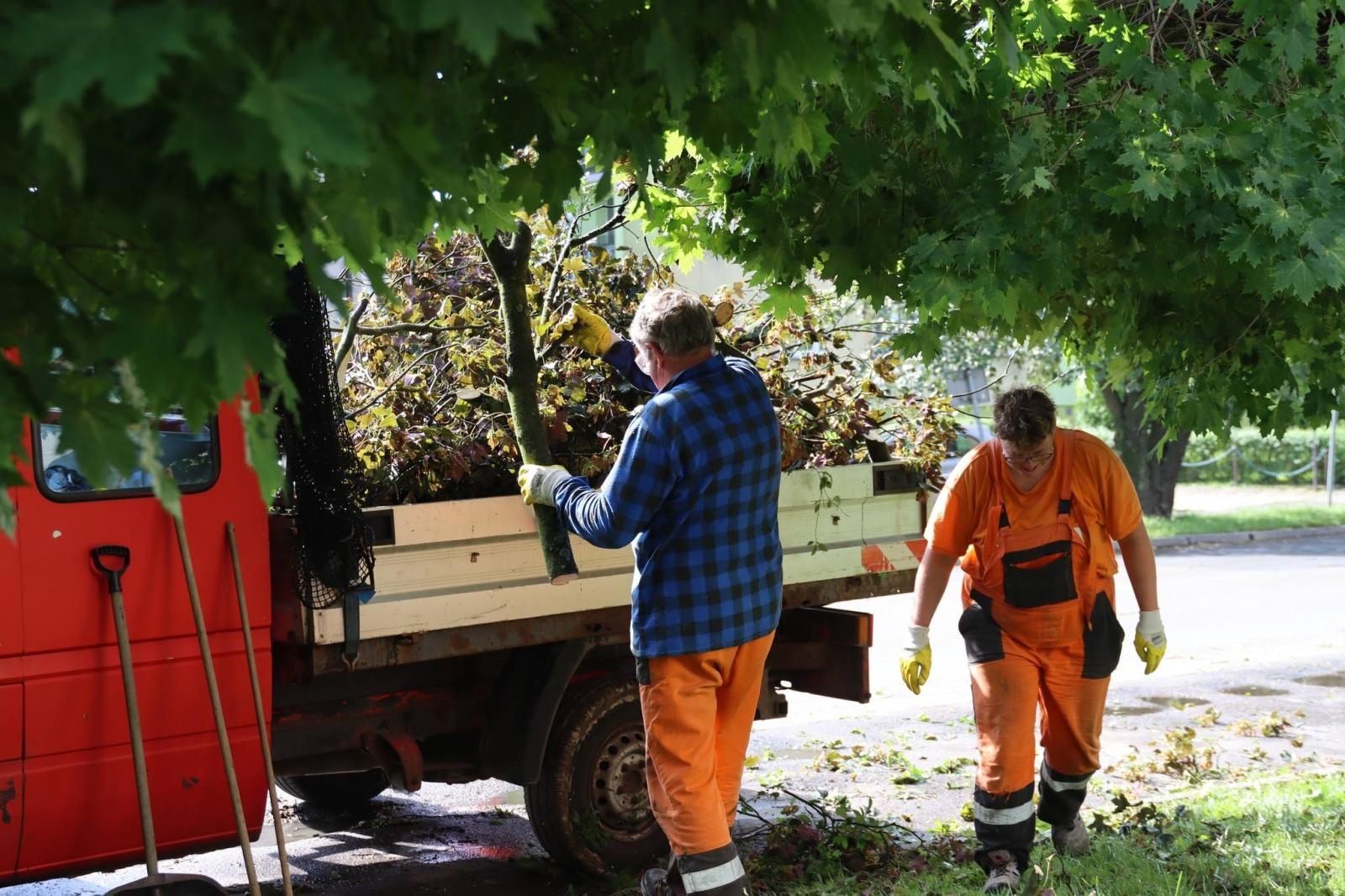 Zdjęcie w galerii na portalu naszwodzislaw.com: Miasto walczy ze skutkami nawałnicy [FOTO] wiadomości z regionu