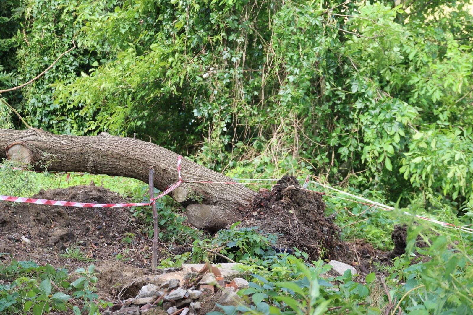 Zdjęcie w galerii na portalu naszwodzislaw.com: Miasto walczy ze skutkami nawałnicy [FOTO] wiadomości z regionu