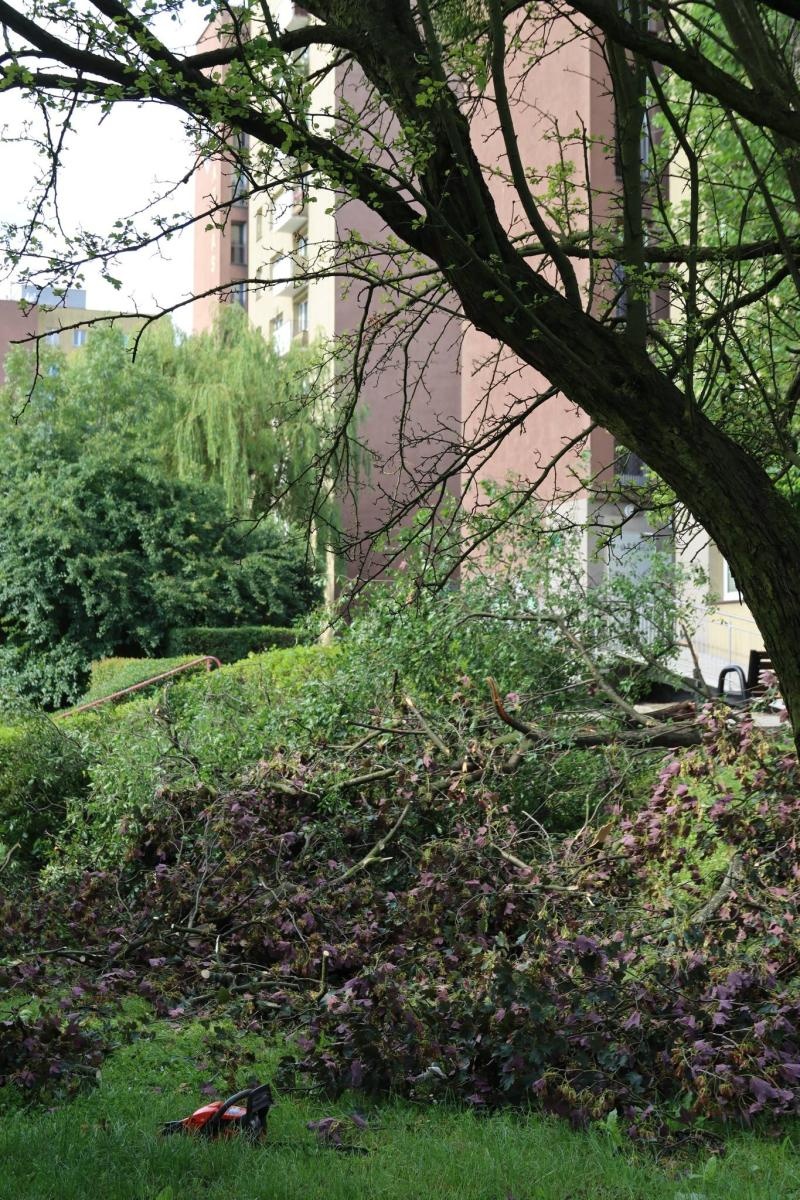 Zdjęcie w galerii na portalu naszwodzislaw.com: Miasto walczy ze skutkami nawałnicy [FOTO] wiadomości z regionu