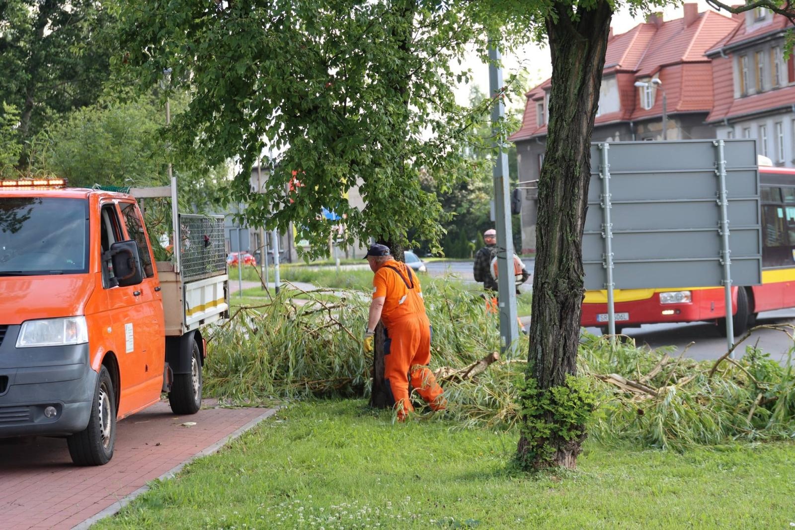Zdjęcie w galerii na portalu naszwodzislaw.com: Miasto walczy ze skutkami nawałnicy [FOTO] wiadomości z regionu