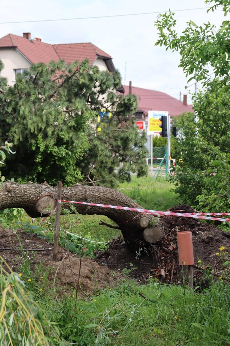 Zdjęcie w galerii na portalu naszwodzislaw.com: Miasto walczy ze skutkami nawałnicy [FOTO] wiadomości z regionu