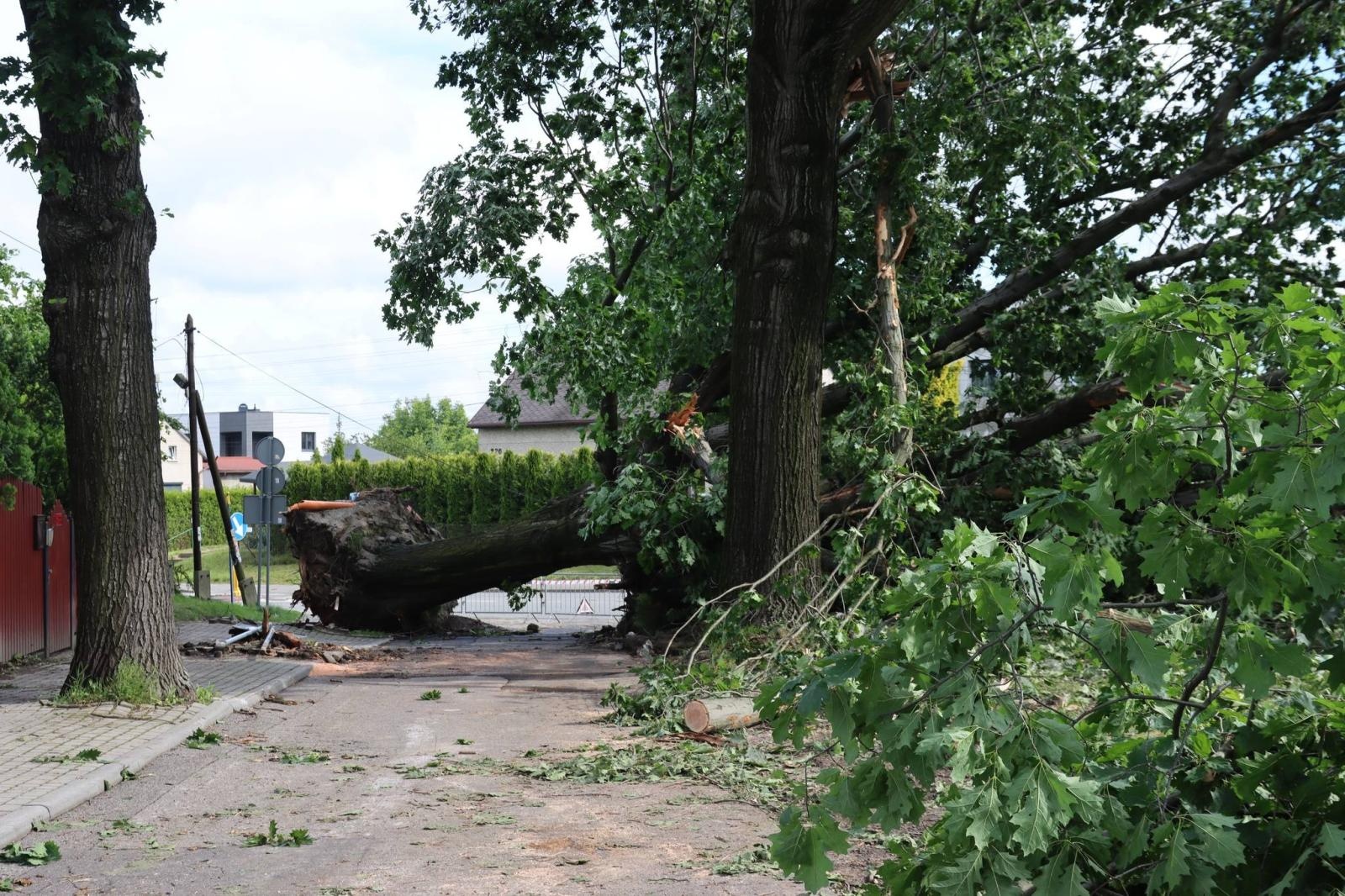Zdjęcie w galerii na portalu naszwodzislaw.com: Miasto walczy ze skutkami nawałnicy [FOTO] wiadomości z regionu