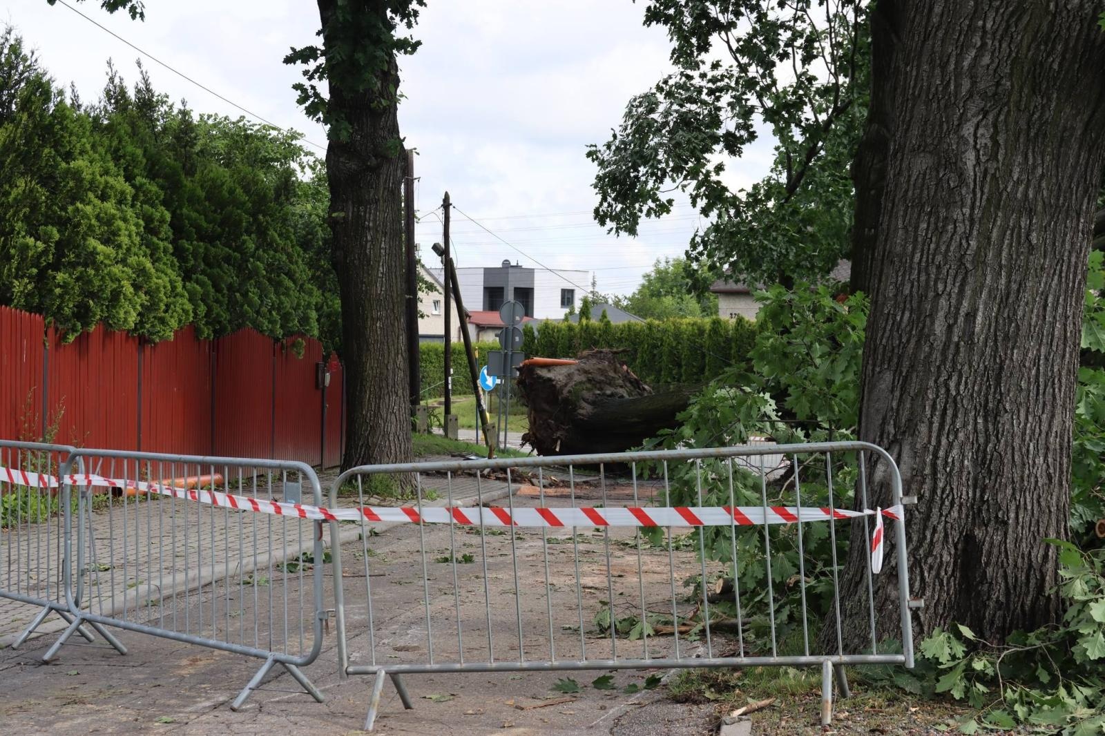 Zdjęcie w galerii na portalu naszwodzislaw.com: Miasto walczy ze skutkami nawałnicy [FOTO] wiadomości z regionu