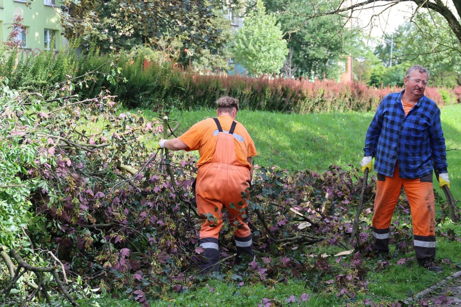 Zdjęcie w galerii na portalu naszwodzislaw.com: Miasto walczy ze skutkami nawałnicy [FOTO] wiadomości z regionu