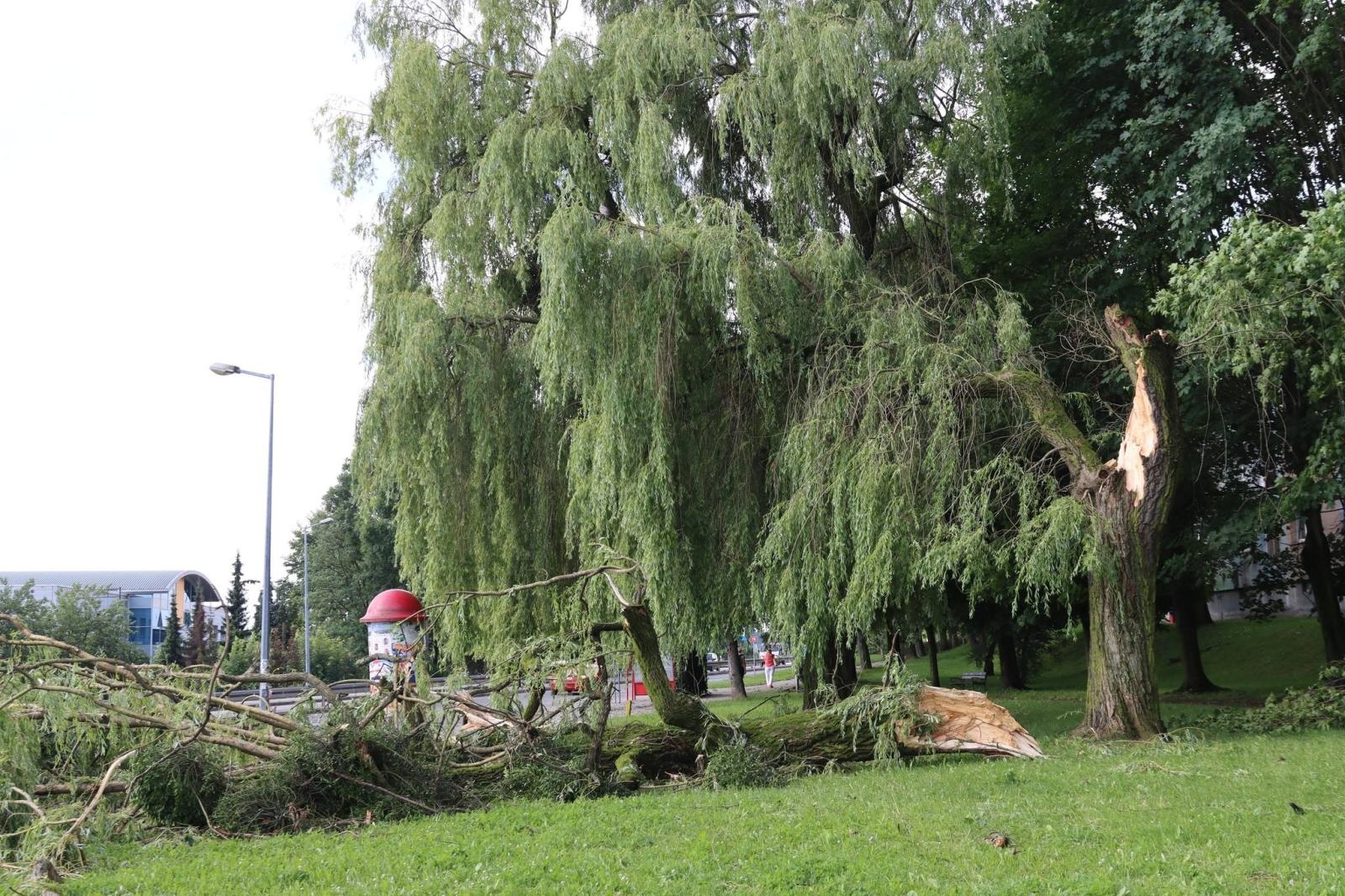 Zdjęcie w galerii na portalu naszwodzislaw.com: Miasto walczy ze skutkami nawałnicy [FOTO] wiadomości z regionu