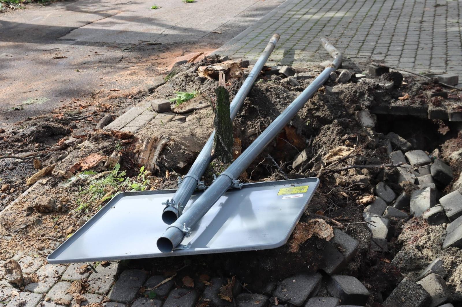 Zdjęcie w galerii na portalu naszwodzislaw.com: Miasto walczy ze skutkami nawałnicy [FOTO] wiadomości z regionu