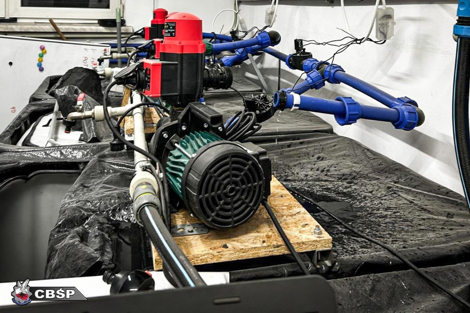 Zdjęcie w galerii na portalu naszwodzislaw.com: Zlikwidowano dwie nielegalne plantacje marihuany. Pięć osób zatrzymanych wiadomości z regionu