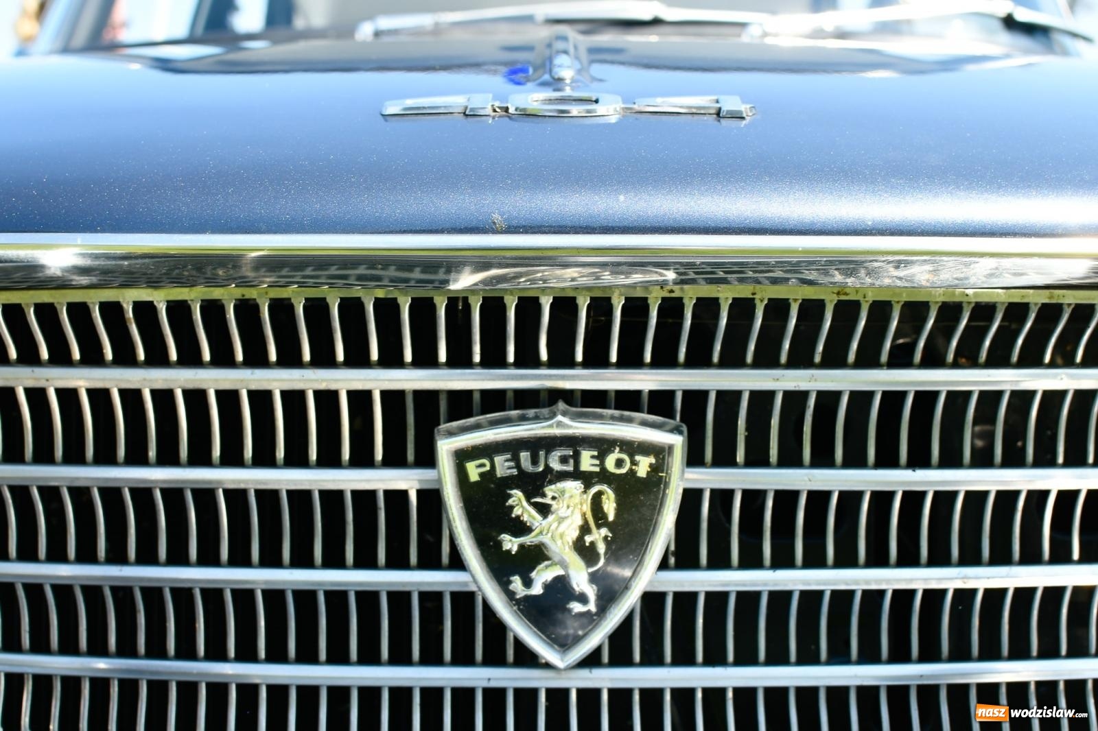 Zdjęcie w galerii na portalu naszwodzislaw.com: Stare samochody i motocykle na zlocie w Zabełkowie [FOTO i WIDEO] wiadomości z regionu