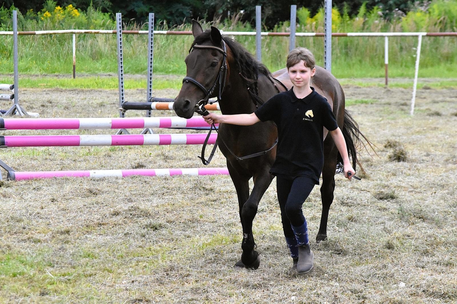 Zdjęcie w galerii na portalu naszwodzislaw.com: Lorens G. zwycięzcą Pokazu Koni Wszystkich Ras w Krostoszowicach wiadomości z regionu