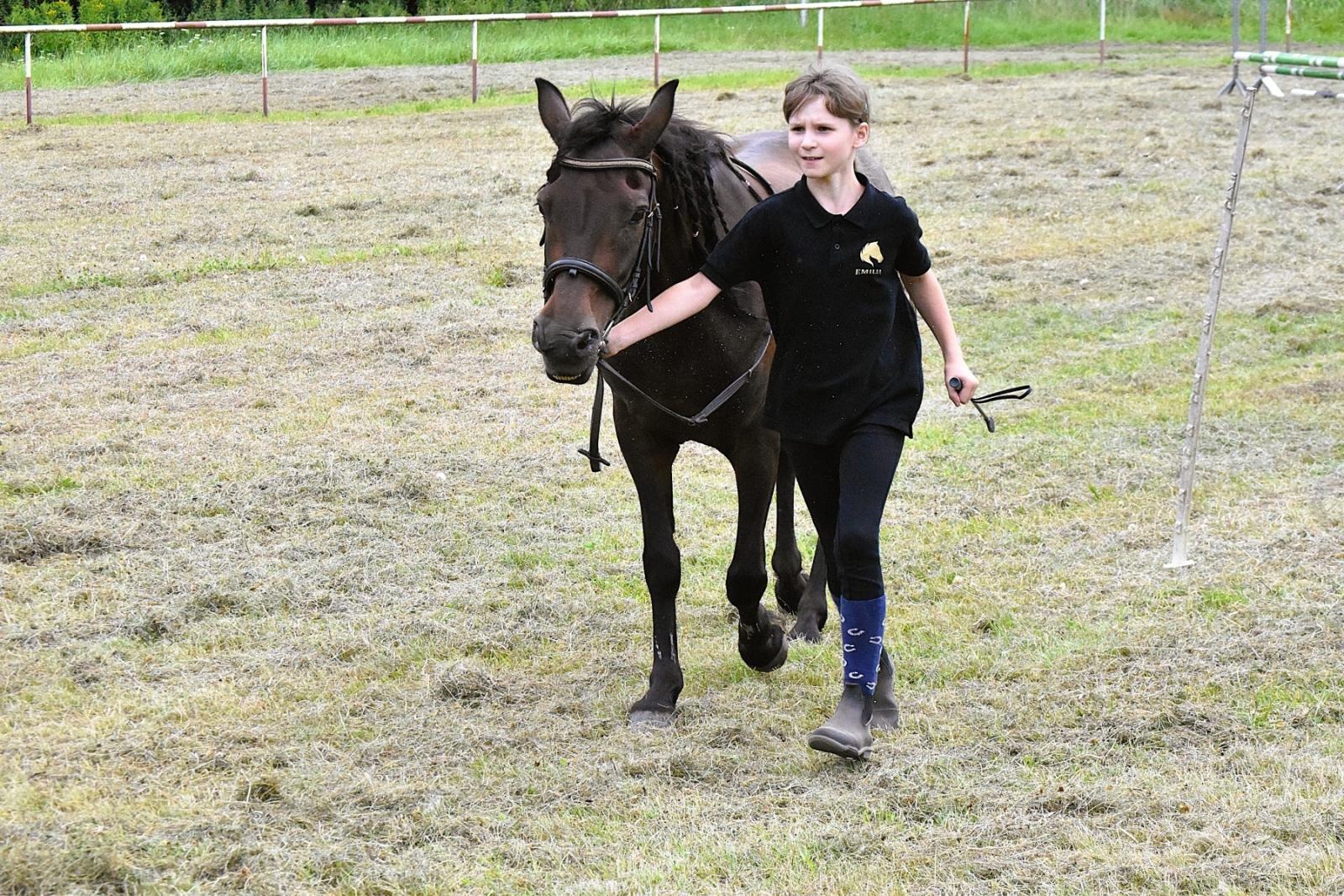 Zdjęcie w galerii na portalu naszwodzislaw.com: Lorens G. zwycięzcą Pokazu Koni Wszystkich Ras w Krostoszowicach wiadomości z regionu