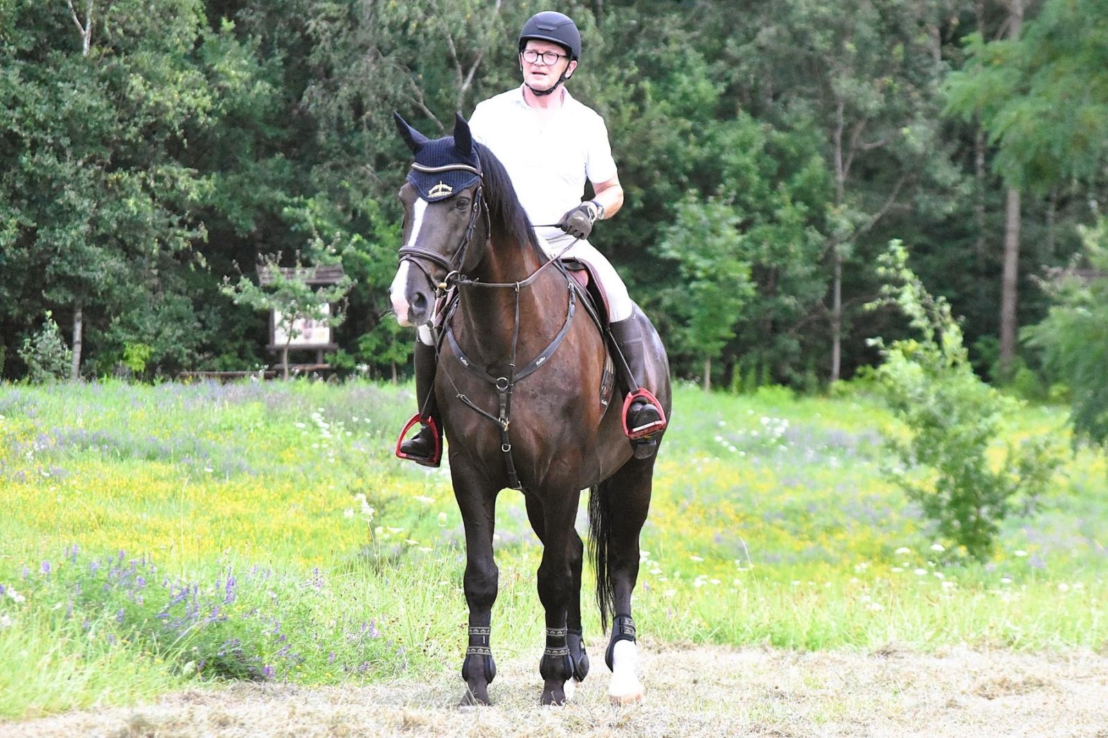 Zdjęcie w galerii na portalu naszwodzislaw.com: Lorens G. zwycięzcą Pokazu Koni Wszystkich Ras w Krostoszowicach wiadomości z regionu