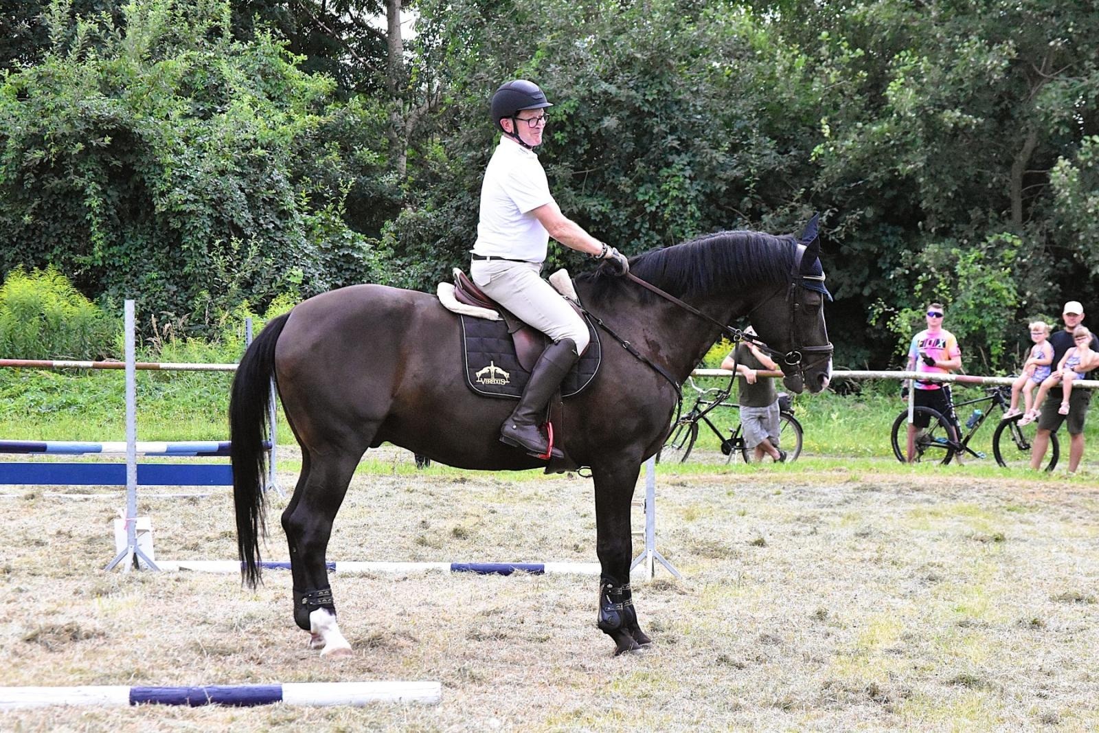 Zdjęcie w galerii na portalu naszwodzislaw.com: Lorens G. zwycięzcą Pokazu Koni Wszystkich Ras w Krostoszowicach wiadomości z regionu