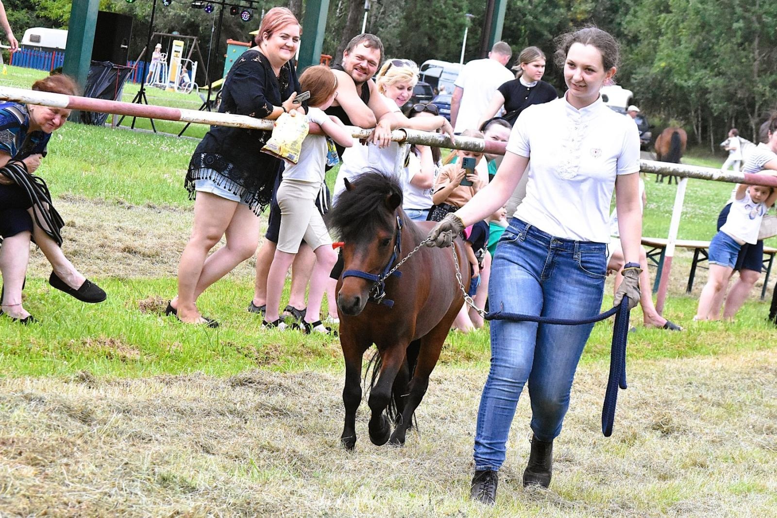 Zdjęcie w galerii na portalu naszwodzislaw.com: Lorens G. zwycięzcą Pokazu Koni Wszystkich Ras w Krostoszowicach wiadomości z regionu