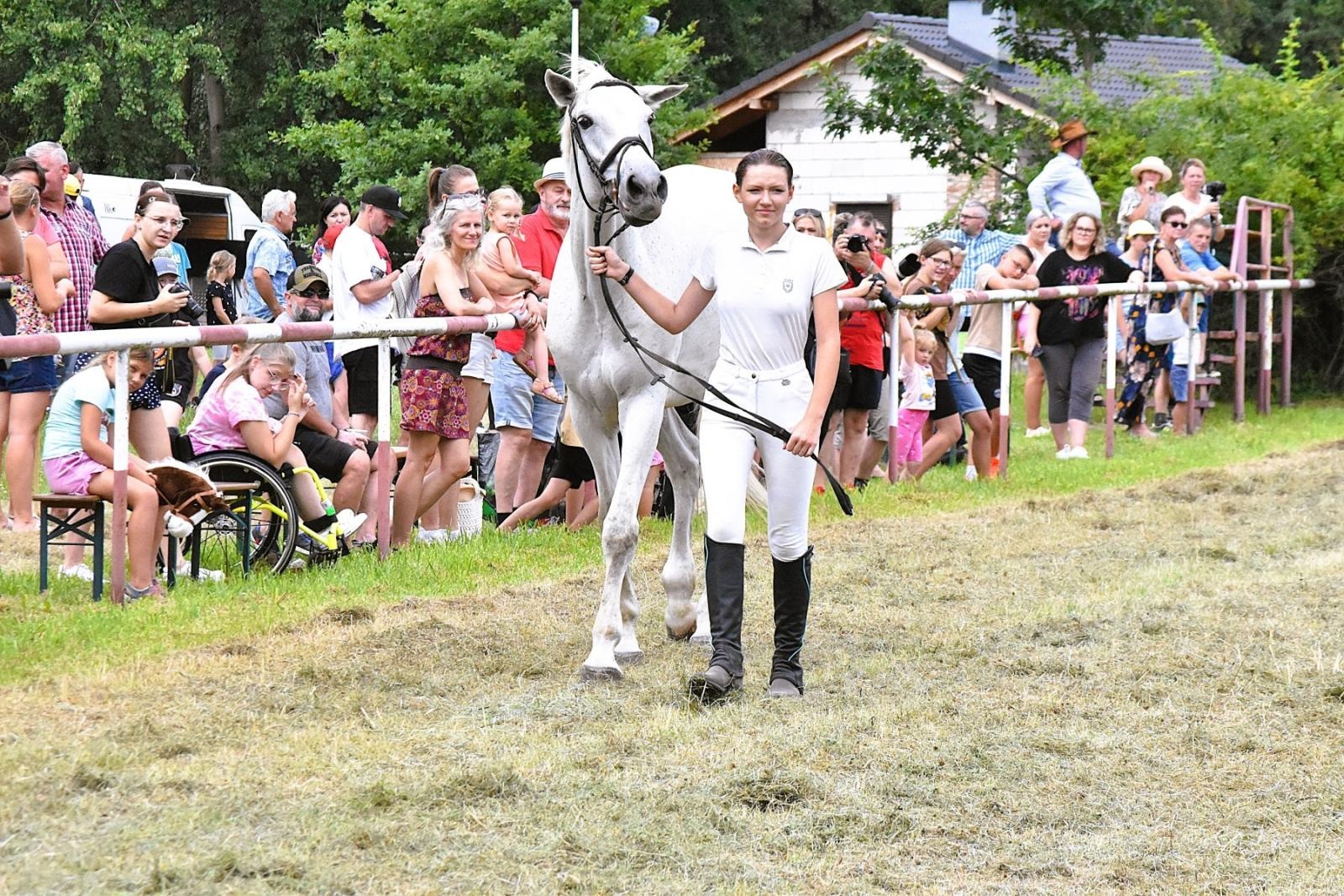 Zdjęcie w galerii na portalu naszwodzislaw.com: Lorens G. zwycięzcą Pokazu Koni Wszystkich Ras w Krostoszowicach wiadomości z regionu