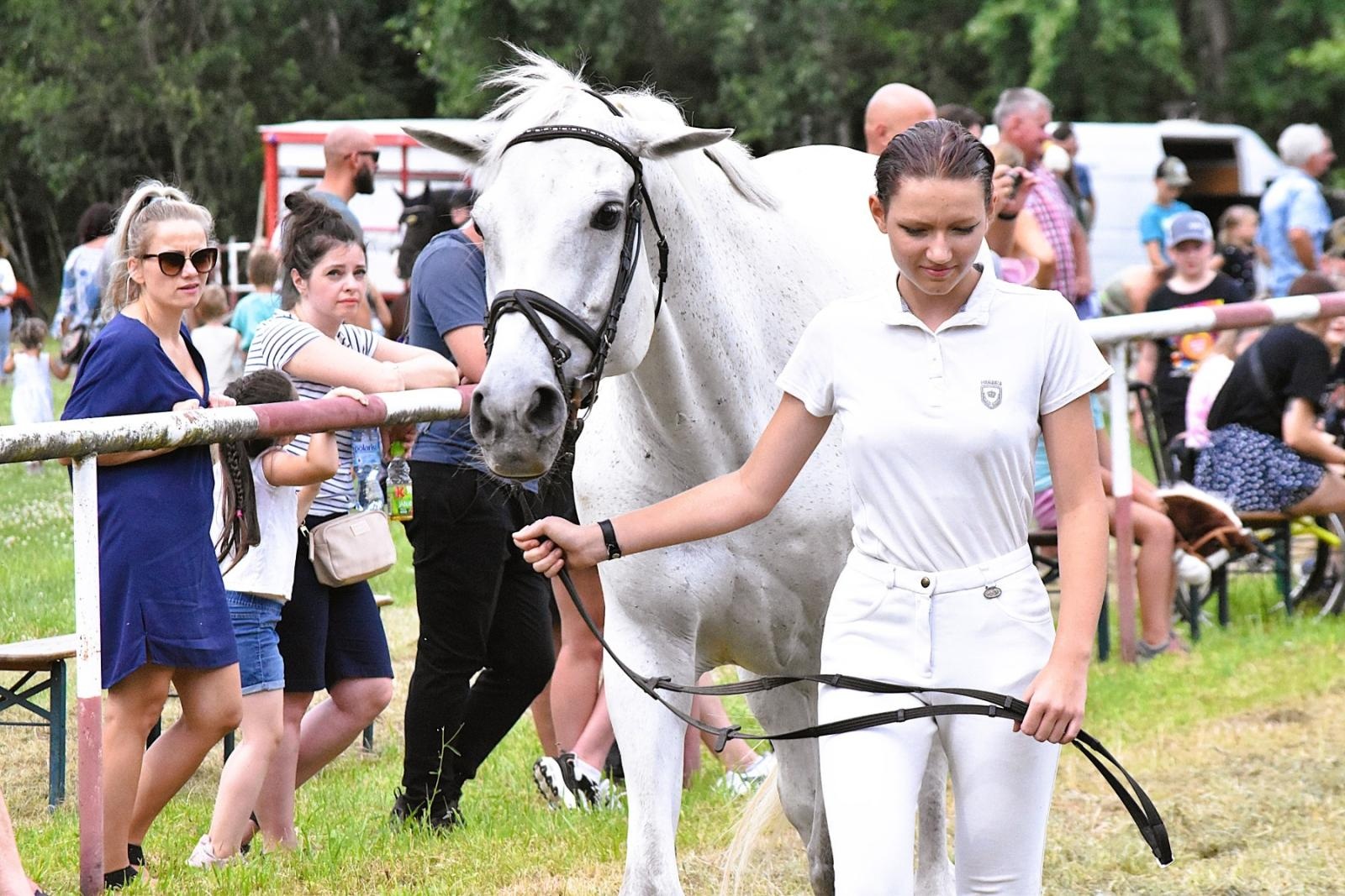 Zdjęcie w galerii na portalu naszwodzislaw.com: Lorens G. zwycięzcą Pokazu Koni Wszystkich Ras w Krostoszowicach wiadomości z regionu