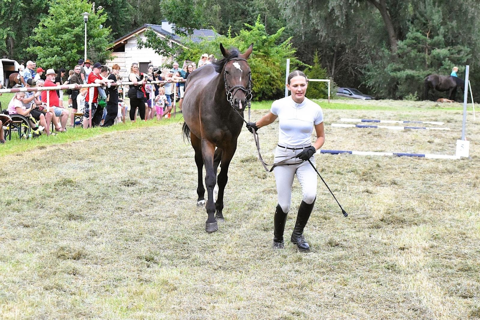 Zdjęcie w galerii na portalu naszwodzislaw.com: Lorens G. zwycięzcą Pokazu Koni Wszystkich Ras w Krostoszowicach wiadomości z regionu