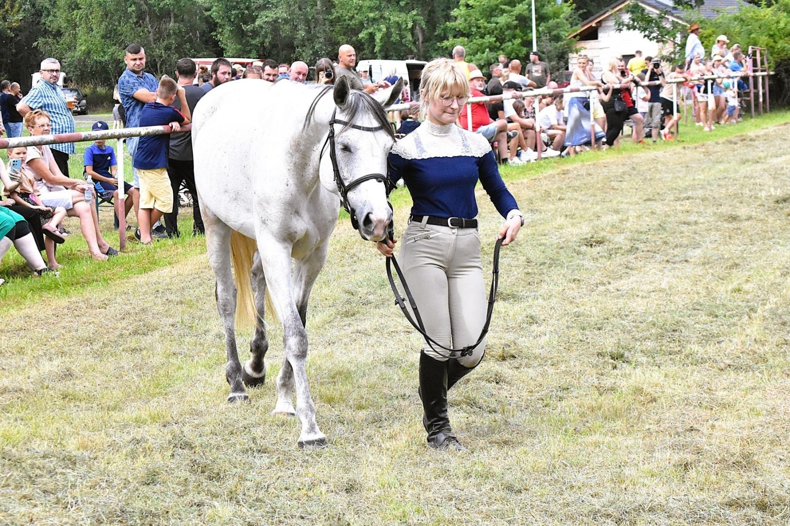 Zdjęcie w galerii na portalu naszwodzislaw.com: Lorens G. zwycięzcą Pokazu Koni Wszystkich Ras w Krostoszowicach wiadomości z regionu